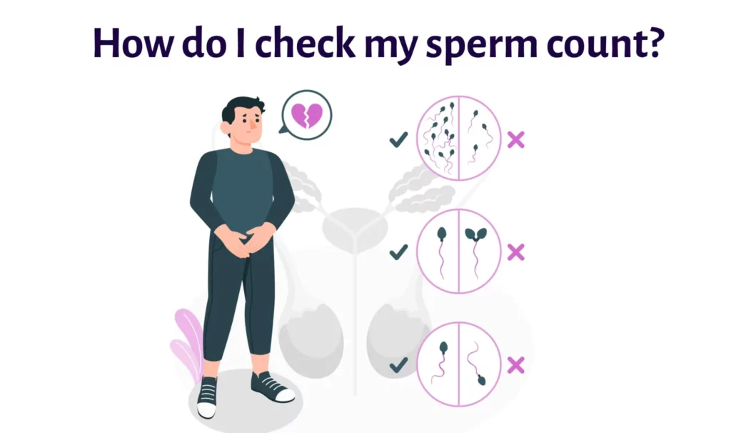 How Do I Check my sperm count