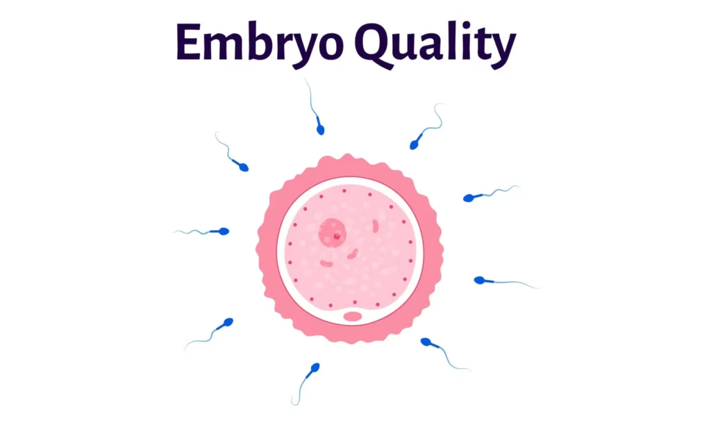 Embryo Quality
