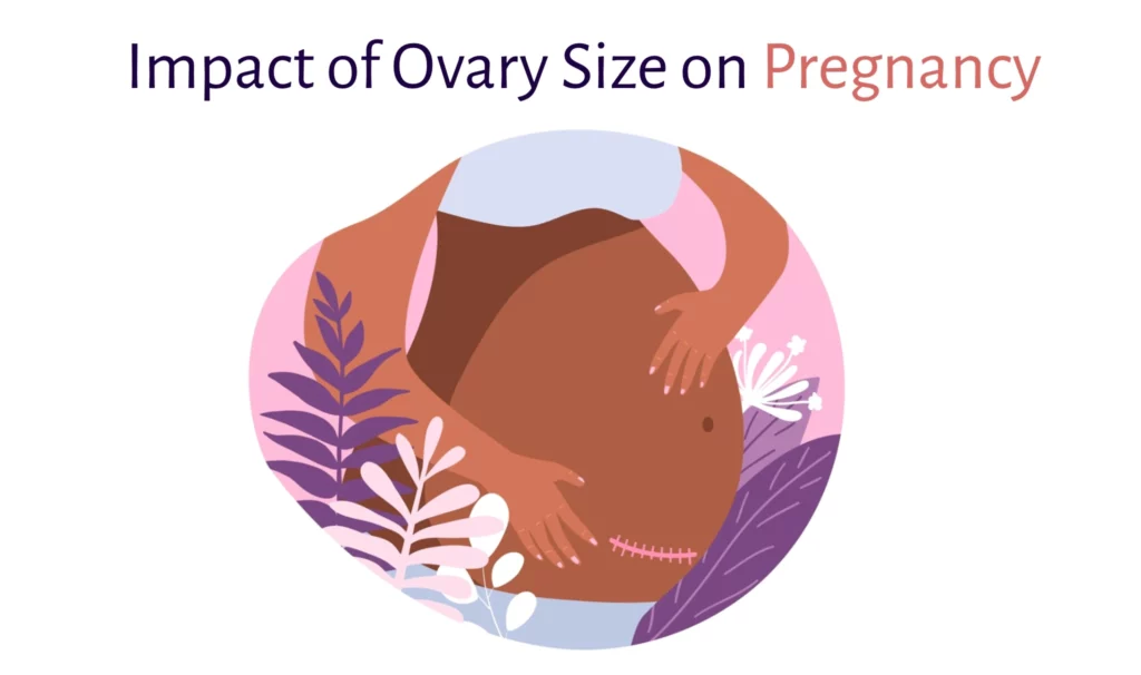 Impact Of Ovary Size