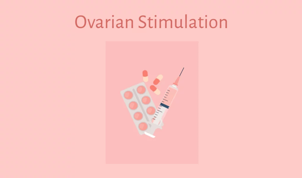 Ovarian Stimulation in IVF