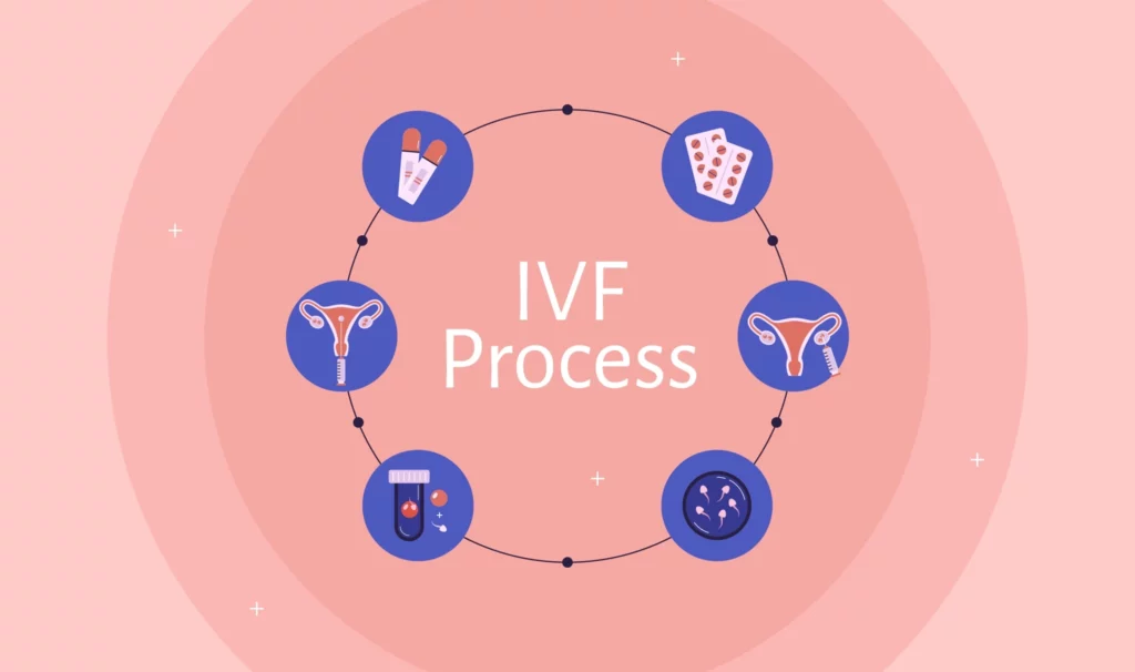 Steps of IVF Process