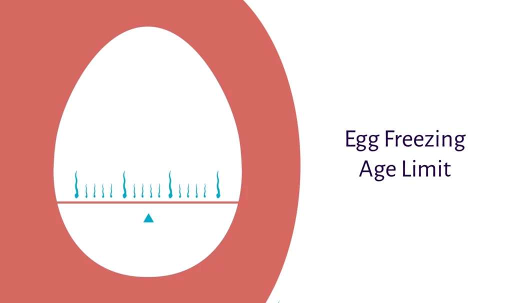Egg Freezing Age Limit