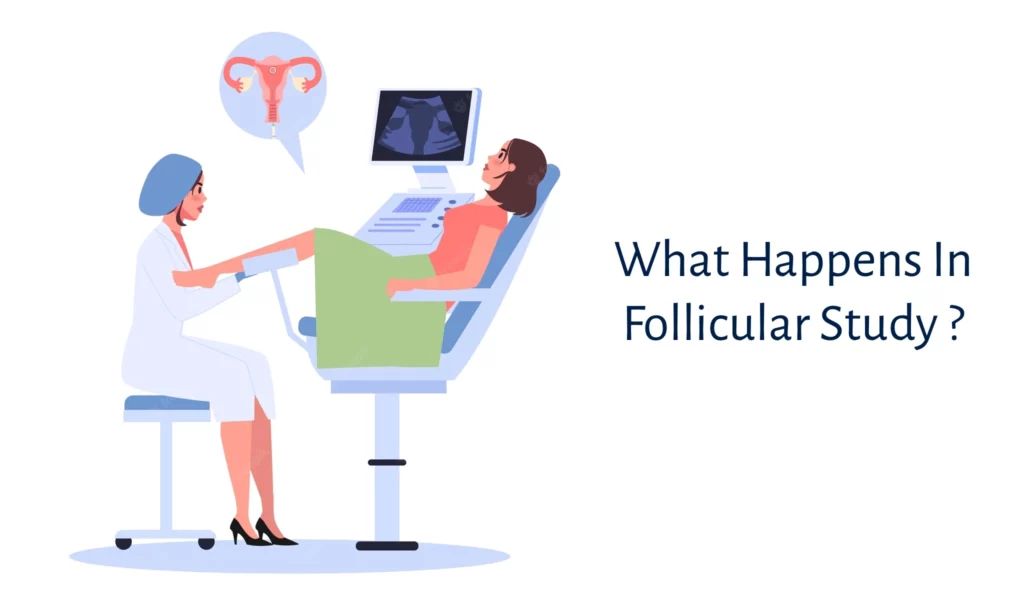 What Happens in Follicular Study