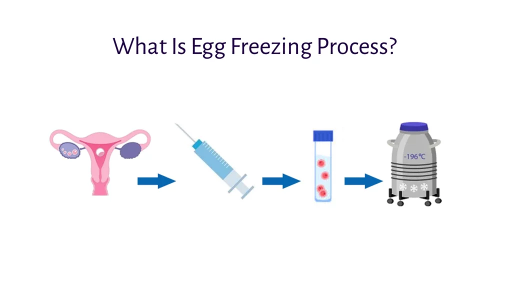 What is Egg Freezing Process