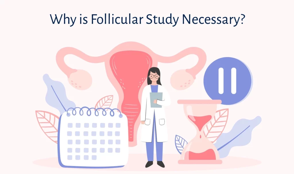 Why is Follicular Study Necessary