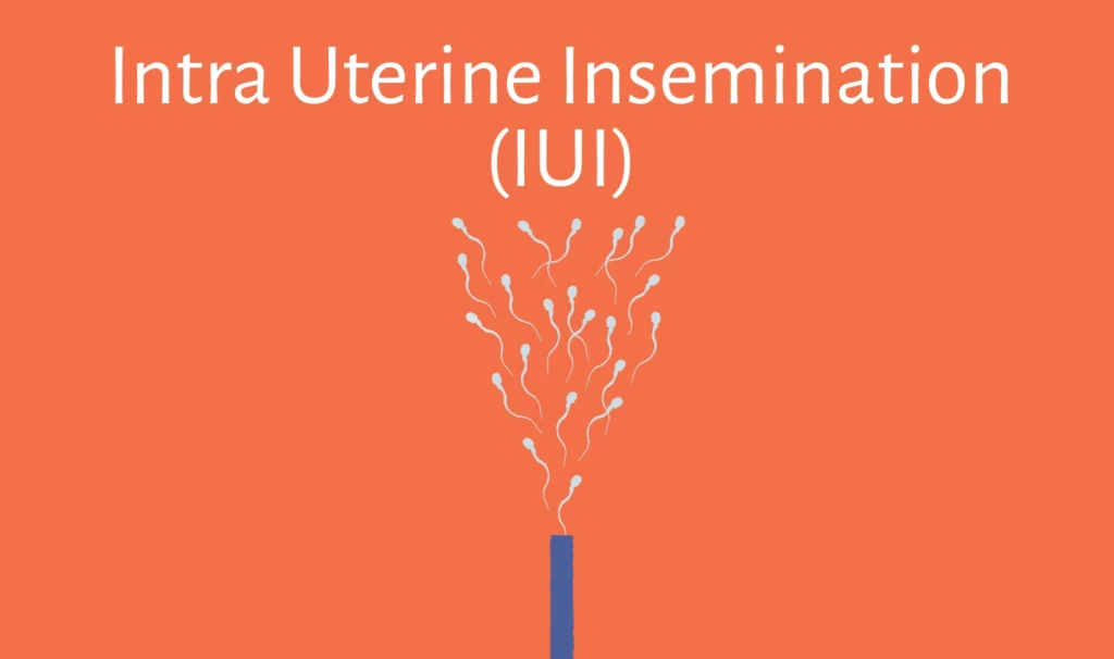 what happens after iui day by day