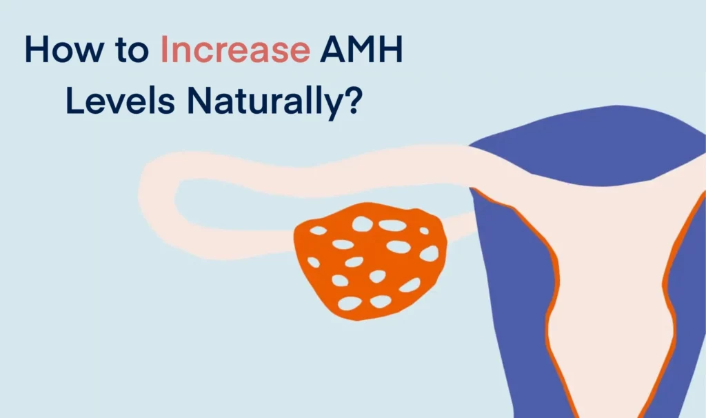 How to Increase AMH Levels Naturally