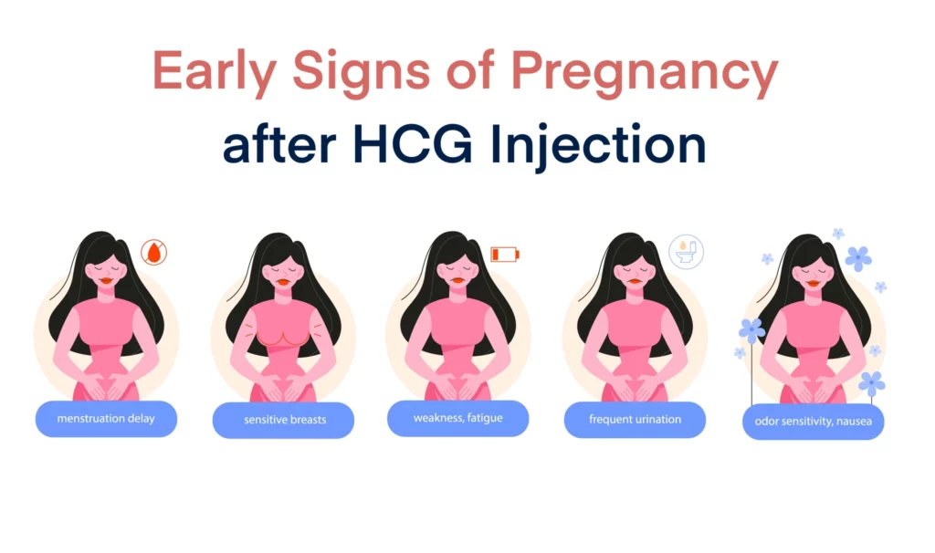 Early Signs of Pregnancy after hCG Injection