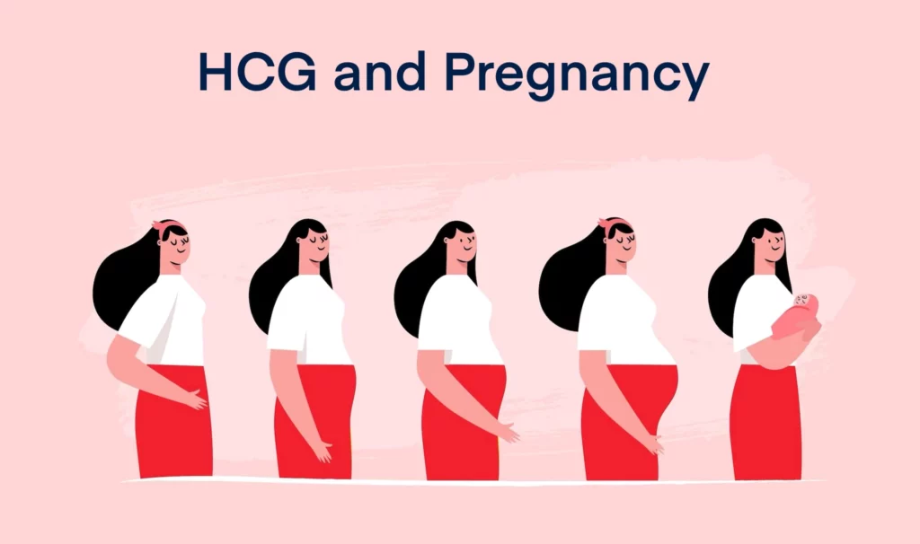 HCG and Pregnancy
