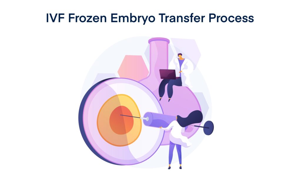 IVF Frozen Embryo Transfer Process: Step by Step