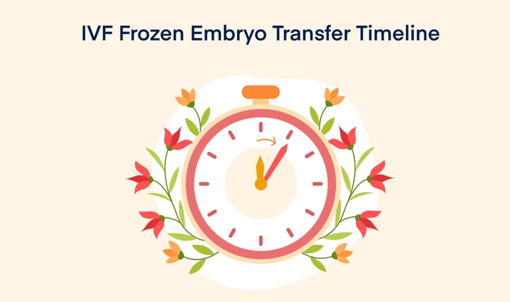 IVF Frozen Embryo Transfer Timeline