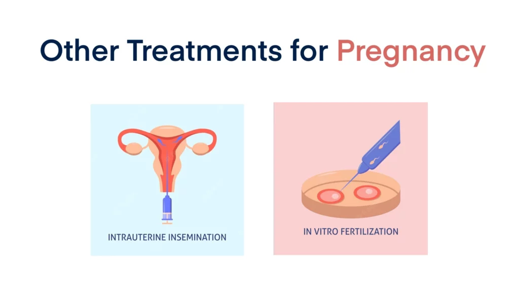 Other Treatments for Pregnancy