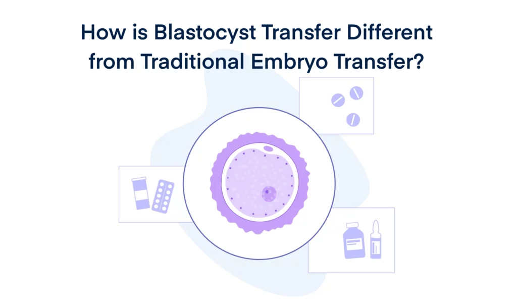 How is Blastocyst Transfer Different from Traditional Embryo Transfer