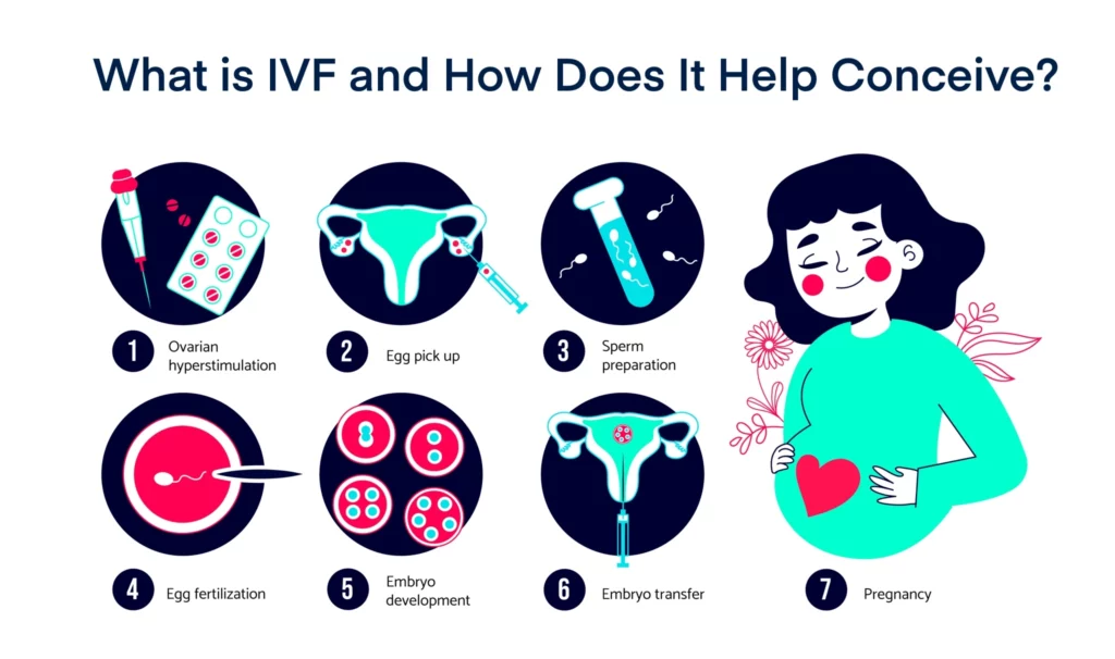 What is IVF and How Does It Help Conceive