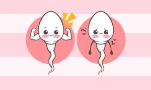 Abnormal Sperm Morphology