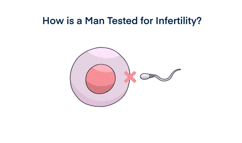 How is a Man Tested for Infertility