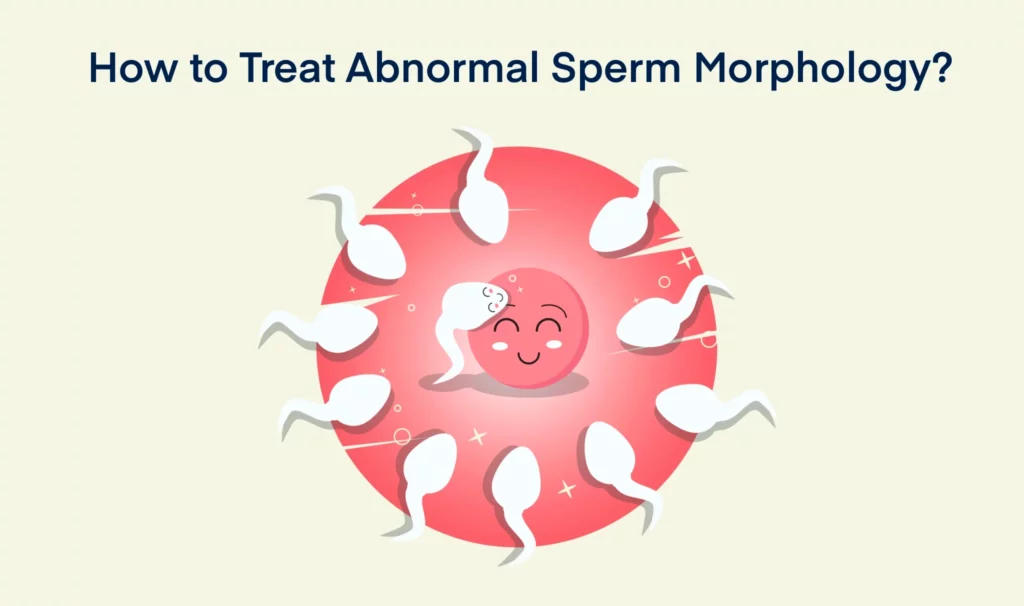 How to Treat Abnormal Sperm Morphology