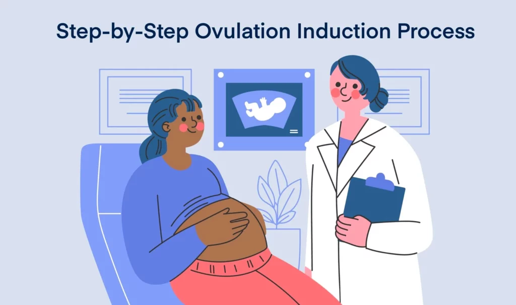 Step-by-Step Ovulation Induction Process