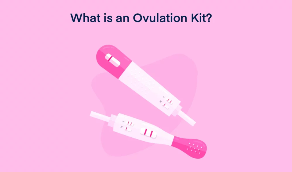 What is an Ovulation Kit