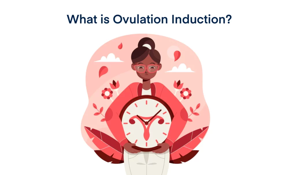What is Ovulation Induction