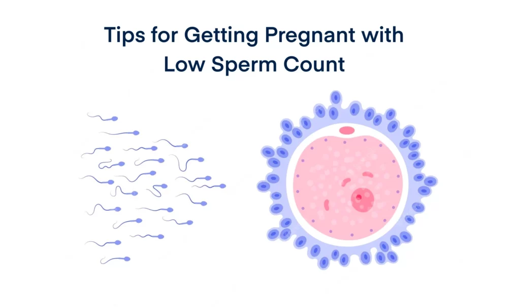 Tips for Getting Pregnant with Low Sperm Count