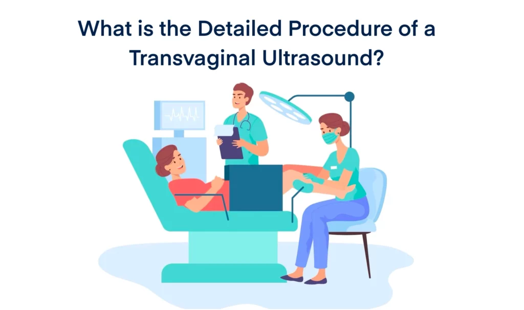 What is the Detailed Procedure of a Transvaginal Ultrasound