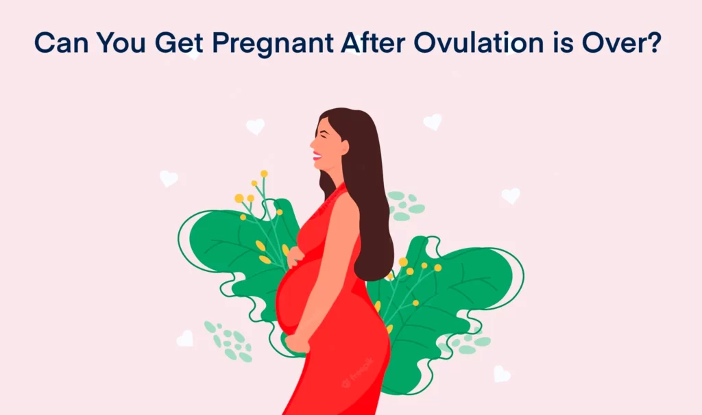 Can You Get Pregnant After Ovulation is Over
