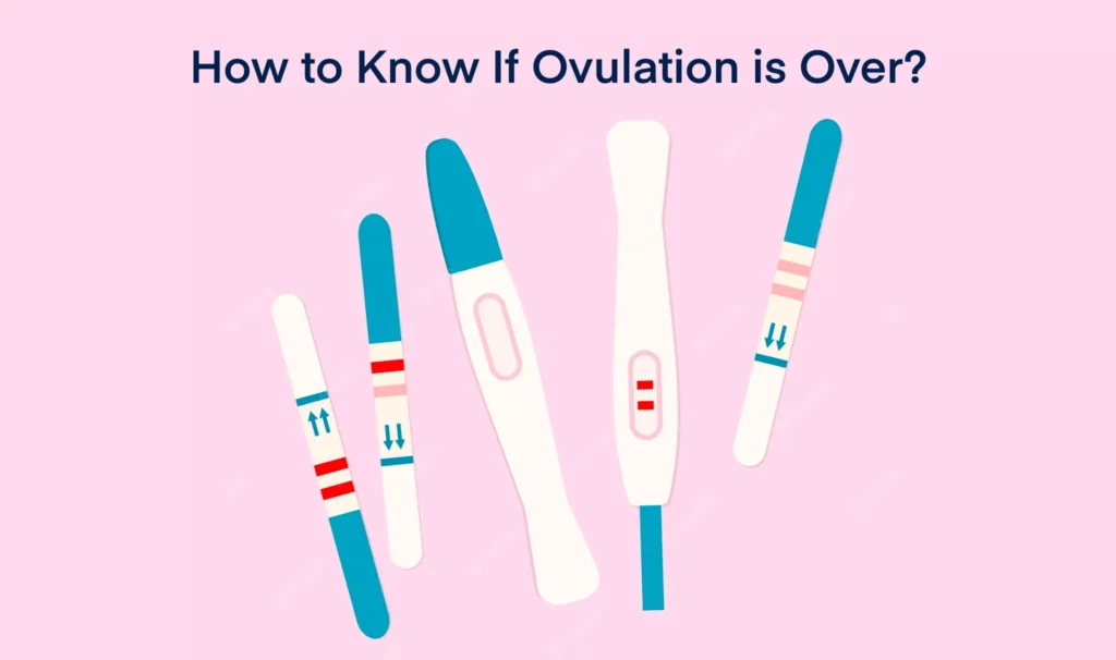 How to Know If Ovulation is Over