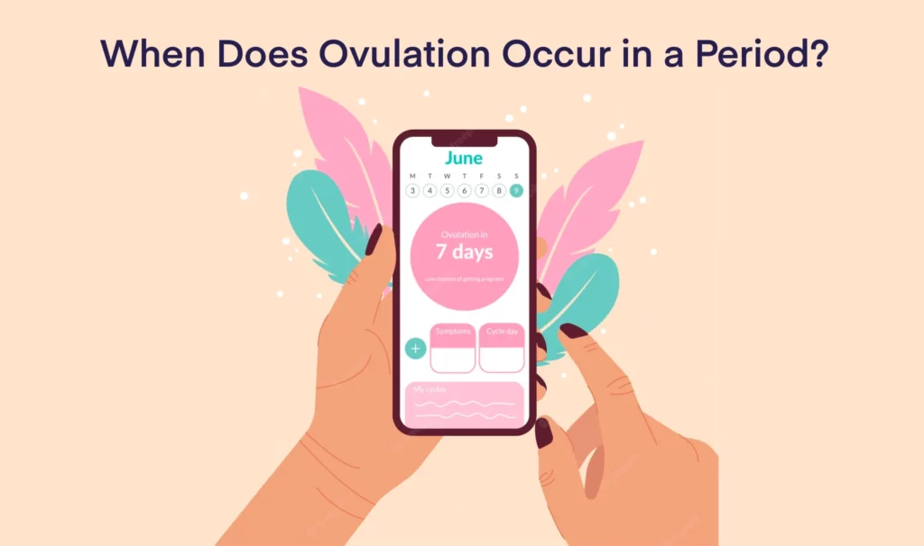 When Does Ovulation Occur in a Period